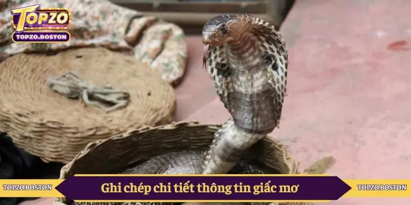 Ghi chép chi tiết thông tin giấc mơ