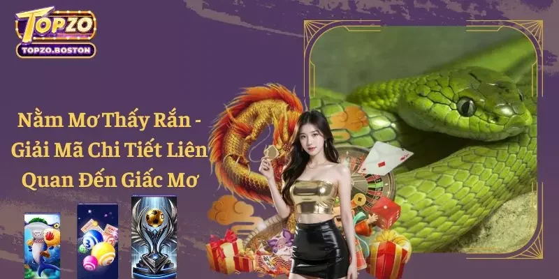 Nằm Mơ Thấy Rắn - Giải Mã Chi Tiết Liên Quan Đến Giấc Mơ